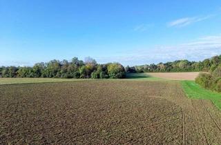 Gewerbeimmobilie kaufen in Steinackerweg, 4020 Linz, Attraktive Landwirtschaftsfläche mit sehr guter Erschließung in Linz – 6.852 m²