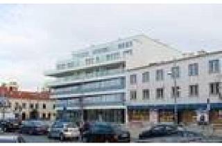 Geschäftslokal mieten in Bruck-Hainburger Straße, 2320 Schwechat, Bruck Hainburger-Str.2