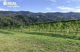 Gewerbeimmobilie kaufen in 8552 Eibiswald, Weingarten mit Kellerstöckl - Bezirk Deutschlandsberg