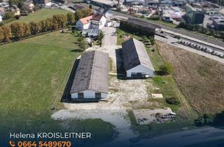 Lager mieten in 8230 Hartberg, Lager- / Gewerbehalle mit 500 m² Nutzfläche in Hartberg zu Vermieten - Erweiterung auf 1000 m² Möglich
