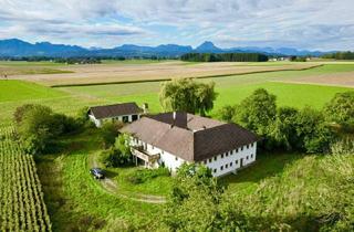 Gewerbeimmobilie kaufen in 4643 Pettenbach, Einzigartiger Vierkanthof in Pettenbach mit ca. 7.084 m² Grund & Salzkammergut-Panoramablick!