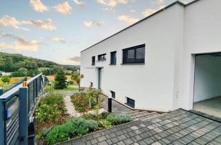 Villen zu kaufen in 8384 Minihof-Liebau, Individuelle Architektenvilla mit Traumküche und großem Grundstück in Aussichtslage im Südburgenland.