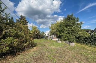  in 1190 Wien, Großzügiger 630-m²-Garten mit Terrasse & Pool am Hackenberg zu verpachten - viel Platz zum Entspannen und Gärtnern