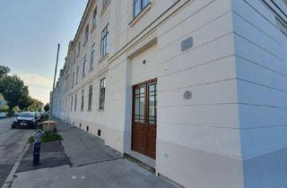 Wohnung mieten in August Hassack-Straße, 3100 Sankt Pölten, hübsche Single/Studenten - Wohnung ( bezugsfertig )