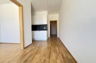Wohnung mieten in Dinghoferstraße 54, 4020 Linz, Ideal aufgeteilte 3 Zimmerwohnung mit neu eingebauter Küche