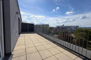 Wohnung mieten in 1220 Wien, DG-Wohnung ohne Schrägen l Terrasse mit Kahlenbergblick & Bad mit Fenster