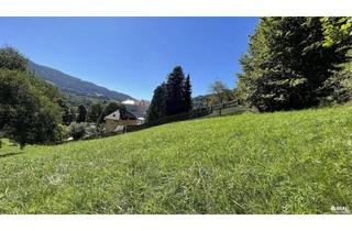 Grundstück zu kaufen in 9853 Gmünd, Ihr Logenplatz in der Künstlerstadt Gmünd: Sonniges Baugrundstück in süd-östlicher Ausrichtung