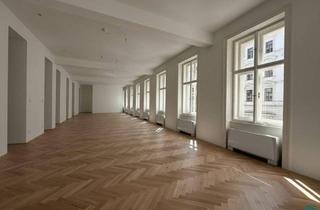 Büro zu mieten in 1010 Wien, Erstbezug nach Sanierung | Repräsentative Altbaubüroflächen mit Terrassen nahe Rathaus