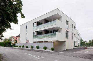 Wohnung mieten in Ascheter Straße, 4600 Thalheim bei Wels, Großzügige 2-Zimmer-Wohnung mit Tiefgaragenstellplatz
