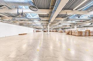 Büro zu mieten in 2100 Korneuburg, Lagerfläche mit Rampen und ebenerdiger Einfahrt | 100+ kW Stromanschluss | Autobahnnähe