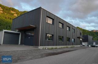 Gewerbeimmobilie kaufen in 6845 Hohenems, Vielseitig verwendbare Gewerbehalle mit guter Infrastruktur in Hohenems