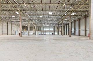 Büro zu mieten in 2542 Kottingbrunn, Flexible Logistik- und Lagerflächen in Kottingbrunn