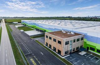 Büro zu mieten in 2542 Kottingbrunn, Flexible Logistik- und Lagerflächen in Kottingbrunn