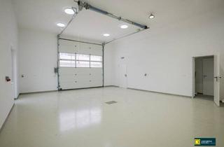 Büro zu mieten in Gewerbestraße 32, 2500 Baden, Erstbezug & SOFORT verfügbar | Gewerbeflächen inkl. Büros
