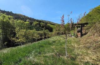 Grundstück zu kaufen in 3610 Weißenkirchen in der Wachau, Marillengarten in der Wachau