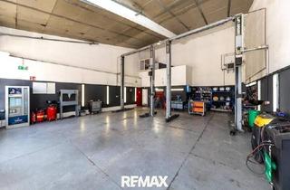 Büro zu mieten in Industriestraße, 2201 Hagenbrunn, "Etablierte KFZ-Werkstatt mit Top-Kundenstock & Komplettausstattung nahe G3 zu vermieten!''