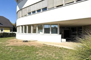 Büro zu mieten in 8430 Leibnitz, Bürofläche im Zentrum von Leibnitz