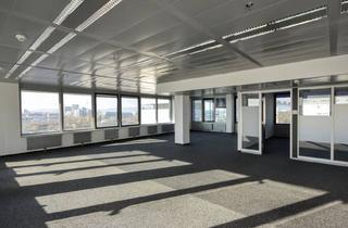 Büro zu mieten in Uno City, 1220 Wien, Attraktive Bürofläche mit Aussicht | Ares Tower