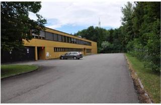 Gewerbeimmobilie mieten in 6812 Meiningen, Nahe der Schweizer Grenze, Büro mit 44,90 Quadratmeter sucht neuen Mieter