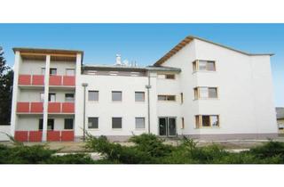 Wohnung mieten in 7143 Apetlon, Geförderte Mietwohnung in Apetlon