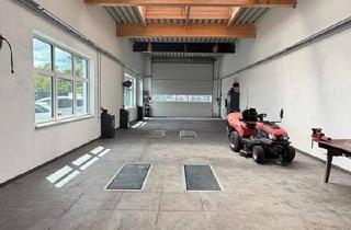 Büro zu mieten in 2601 Sollenau, Helle Gewerbe- und Werkstatthalle in Sollenau – mit Hebebühnen, Lkw-Zufahrt und umfangreicher Ausstattung (Halle T3)
