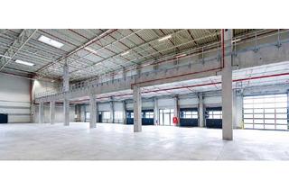 Büro zu mieten in 2542 Kottingbrunn, Kombination Lager 3579 m2 inklusive Büro 230 m2 südlich von Wien