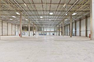 Büro zu mieten in 2542 Kottingbrunn, Kombination Lager 3579 m2 inklusive Büro 230 m2 südlich von Wien