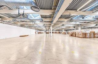 Büro zu mieten in 2100 Korneuburg, Lagerfläche mit Rampen und ebenerdiger Einfahrt | 100+ kW Stromanschluss | Autobahnnähe
