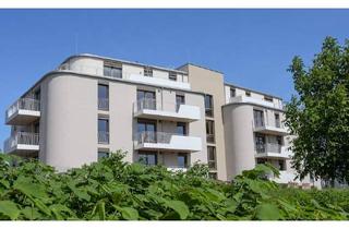 Haus kaufen in 3100 Sankt Pölten, Helle Neubauwohnungen direkt an der Traisen