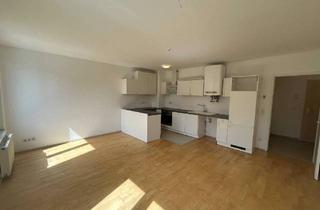 Wohnung mieten in Hetzendorferstraße, 1120 Wien, Gemütliche 1-Zimmer-Wohnung – Wohnen im 12. Bezirk