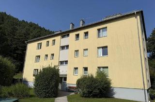 Wohnung kaufen in 2763 Pernitz, Generalsanierte Dachgeschoß-Eigentumswohnung in Pernitz im Piestingtal - auch zur Miete: € 530,00 zzgl. Gas/Strom