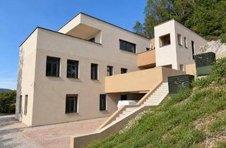 Wohnung mieten in Grabenstraße, 8010 Graz, 6 individuelle Mietwohnungen - Nähe Andritzer Maut