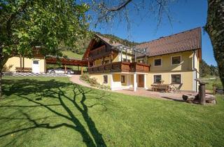 Bauernhäuser zu kaufen in 5591 Ramingstein, Charmantes Landhaus in Grünland-Alleinlage