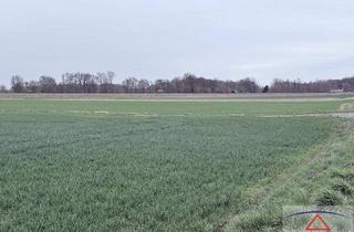 Gewerbeimmobilie kaufen in 2263 Dürnkrut, Schöne Äcker in besten Lagen!