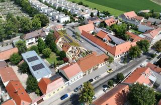 Wohnung kaufen in Segnerstraße/Oberlaaerst., 1100 Wien, freifinanzierte Eigentumswohnung im EG in Wien Oberlaa | Top 4