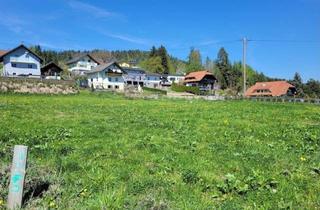 Grundstück zu kaufen in 9560 Feldkirchen in Kärnten, Sonniges Grundstück in St. Nikolai