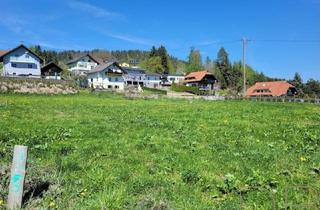 Grundstück zu kaufen in 9560 Feldkirchen in Kärnten, Sonniges Grundstück in St. Nikolai
