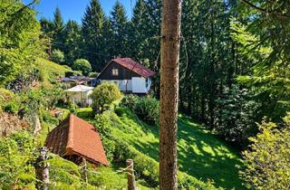 Haus kaufen in 8563 Grabenwarth, Einzigartige Liegenschaft inmitten der Natur – 7.980 m²