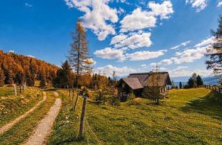 Haus kaufen in 9854 Maltaberg, Ein Stück Bergwelt Für sich - Privates Almrefugium am Maltaberg