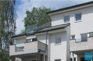 Wohnung mieten in Hinterpocherstraße WE 2, 3871 Alt-Nagelberg, 2-Zimmerwohnung im EG mit Balkon