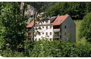 Wohnung mieten in 3170 Hainfeld, Raum für Ihre persönlichen Wohnideen I 2 Zimmer Wohnung