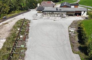 Büro zu mieten in 3352 Sankt Peter in der Au-Markt, 13.000 m² große Freifläche und 1 Lagerhalle mit ca. 240 m² im Urltal zu MIETEN
