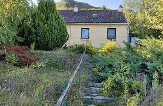 Grundstück zu kaufen in 2410 Hainburg an der Donau, Carnuntumstraße- großer Grund mit Altbestand- Donaublick in Hainburger Bestlage