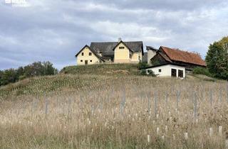 Gewerbeimmobilie kaufen in 8453 Eichberg, Landwirtschaft mit Weingarten in Traumaussichtslage am Eichberg