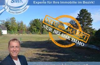 Grundstück zu kaufen in 3872 Amaliendorf, Viel Platz für Ihr Traumhaus!