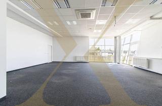 Büro zu mieten in 4050 Traun, Klimatisierte Bürofläche mit Parkplätzen und Lager in Trauner Bestlage zu vermieten!