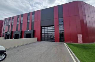 Büro zu mieten in 2100 Korneuburg, PRODUKTIONS- UND HALLENFLÄCHEN IN HOCHMODERNEM BUSINESSPARK SAMT DIREKTEM BAHNANSCHLUSS MITTEN IN DER STADT