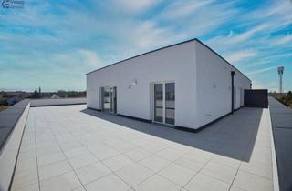 Penthouse kaufen in 4050 Traun, Neubau-Erstbezug Traun: 4 Zimmer, 112 m², 104 m² Dachterrasse, Top 20