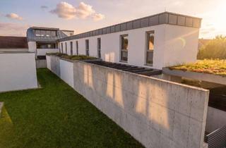 Maisonette mieten in 3100 Sankt Pölten, Wohnen wie im eigenen Haus: Erstbezug-Maisonette mit Garten in St. Pölten