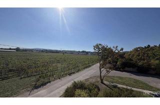 Wohnung mieten in 2380 Perchtoldsdorf, Sonniger Rückzugsort in Perchtoldsdorf mit Grünblick | ZELLMANN IMMOBILIEN